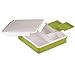 INSULATED BENTO LUNCH BOX - PINNACLE BENTAGO THERMO SLIM DESIGN, TRAY STYLE FOOD CONTAINER – LEAKPROOF - 3 COMPARTMENT PORTION CONTROLL – For Adults And Kids – GREEN