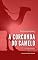 Livro A Corcunda do Camelo