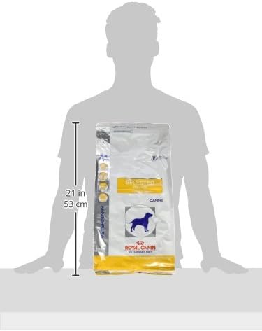 royal canin pd dog food