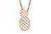 Rosa Vila Pineapple Necklace, Tiny Pineapple Jewelry for Women, Symbolizes Friendship and Generosity, Pineapple Things for Girls, Tropical Jewelry Gift, Pineapple Gifts for Women (Rose Gold Tone)