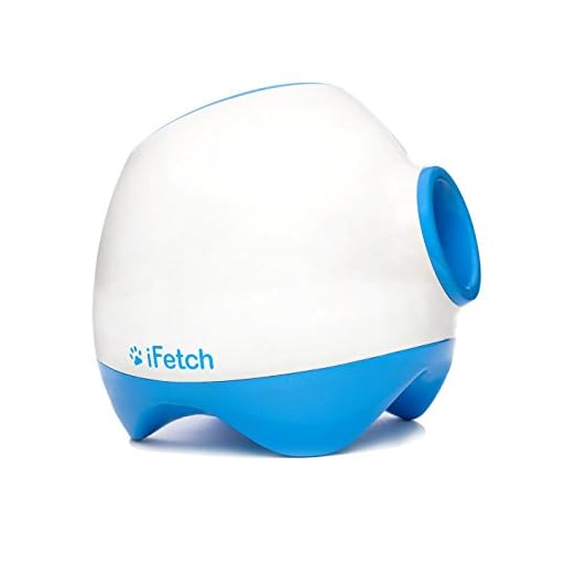 iFetch Ball for Dogs