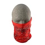 Zanheadgear Motley Tube, 100% Polyester, Red Paisley