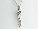Stainless Steel Italian Horn Pendant. Necklace is Included