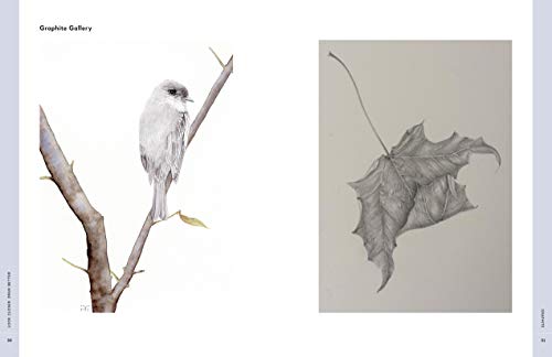 Look Closer, Draw Better: Expert Techniques for Realistic Drawing - Thumbnail 7