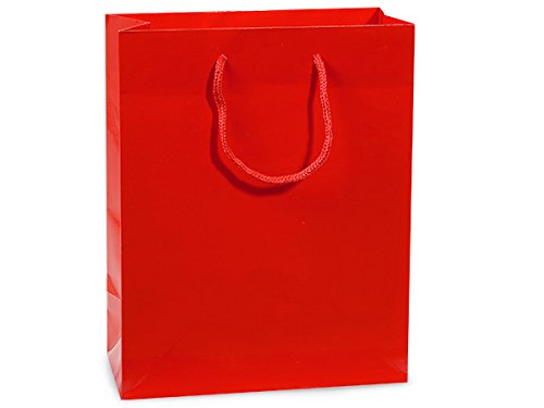 Gloss Laminated Gift Bags - Red Gloss Gift Bags Cub Mini Pk 8x4x10