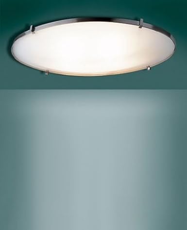 T 2121 Ceiling Light 110 125v For Use In The U S Canada Etc