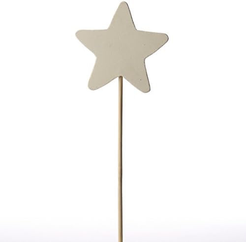 Amazon Com Factory Direct Craft Package Of 6 Unfinished Wood Star