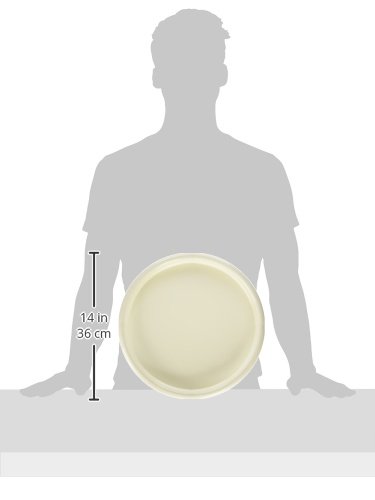 Plastmeccanica Plant Caddy, Rolling, Use Indoor or Outdoor, Four Wheels, Extra Large Lip, Sturdy Plastic, Italian, White