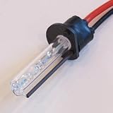 XENTEC H1 8000K HID Xenon Bulb x 1 pair (Iceberg Blue)