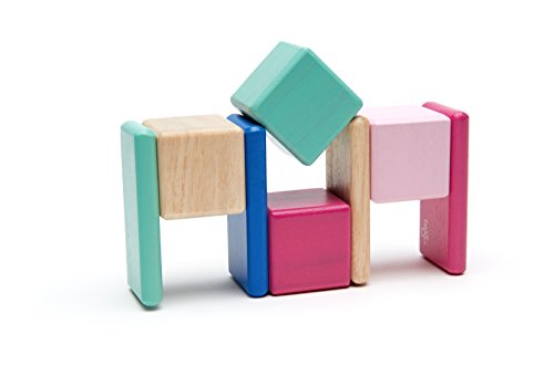 8 Piece Tegu Pocket Pouch Magnetic Wooden Block Set, Blossom