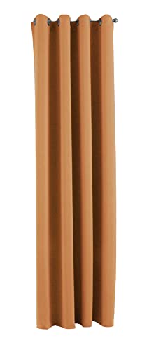 Gardinenbox Newyork 201920600 Opaque Curtain Height x Width 245 x 140 cm Pack of 1 Thermal Blackout Curtain Blackout Eyelets Sound-Absorbing Oeko-Tex UV Protection Tiebacks