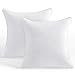 Oubonun 22 x 22 Throw Pillow Inserts (Set of 2) with 100% Cotton Cover - 22 Inch Square Interior Sofa Decorative Pillow Insert Pair - White Couch Pillow