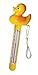 Swimline HYDROTOOLS Thermometer ASSORTMENT (Style Received May Vary) Large Floating Easy Read For Water Temperature Shatter Resistant With String For Outdoor And Indoor Swimming Pools