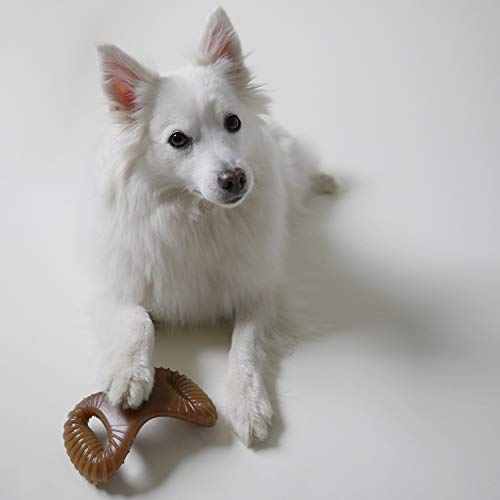 Benebone Large Bacon Flavored Dog Chew - Image 4