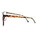 Panto Oversized Thin Frame Nerd Fashion Glasses Havana