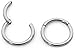 (8mm 18G) 2PCS Titanium Implant Grade Septum Jewelry Hinged Segment Ring Body Piercing Hoop Lip Rings Helix Cartilage Rook Sleeper Earrings Nickel Free Hypoallergenic