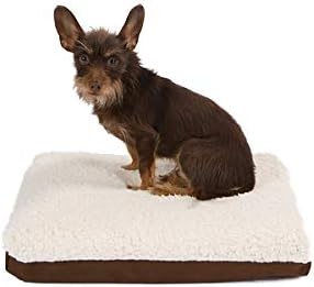 organic latex dog bed
