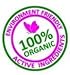 Digestyn7 - Organic Digestive Gummies 200mg 90 Count - Organic Ginger, Garlic, Turmeric, Cinnamon, Fennel, Fenugreek and Mint