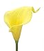 Duovlo 20pcs Calla Lily Bridal Wedding Bouquet Lataex Real Touch Artificial Flower Home Party Decor (Yellow)