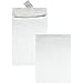 Survivor R4200 Tyvek Expansion Mailer, 10 x 13 x 1 1/2, White, 18lb (Case of 100)