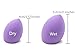 CAETLE® Beauty Flawless Makeup Blender Comestic Special Egg Shape Sponge Puff Color Purple Mini Size