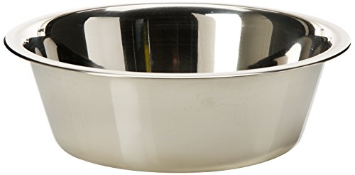 AMI CONFORT Bol pour Chien en Inox 24 cm