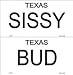 Bud and Sissy Texas License Plates Tags Urban Cowboy