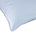 DOWNLITE Extra Soft Down Pillow - Great for Stomach Sleepers - Very Flat (King - Duck Down)