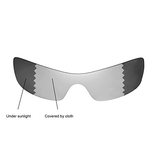 Walleva Replacement Lenses for Oakley Batwolf Sunglasses - Multiple Options Available (Transition/photochromic - Polarized)