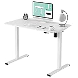 FLEXISPOT Adjustable Height Desk 40 x 24 Inches