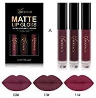 Liquid Lipstick Set-Lasting Matte Lip Stick Make Up Waterproof Velvet Batom Nude Sexy Lip Gloss Cosmetics Kit-3 Color (A)