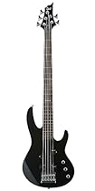ESP LTD B55 - Black 5 String Bass
