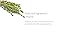 Kiss My Face Active Life Deodorant Contains Naturally Derived Ingredients, 72 Hour Odor Control | Deodorant for Women and Men, Aluminum Free with Coconut Oil and Probiotics, Citrus Scent