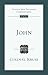 John (Tyndale New Testament Commentaries)