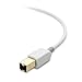 Cable Matters USB B to USB C Cable 3.3ftUSB-CtoUSB-B Cable, MIDI to USBC Cord, Compatible with Printer, MIDI Controller/Keyboard, White