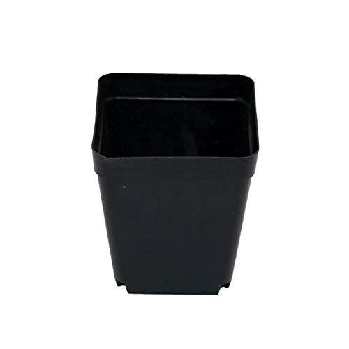 2 Pieces Flower Seedlings Pots Seed Culture Box Mini Plastic Boxes Landscape Plant Breeding Small Kit Accessories Nursery Tray - Black