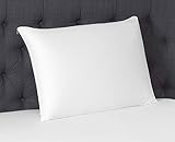 Beautyrest Latex Foam Pillow (Standard 2 Pack)