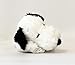 Snoopy 6