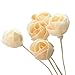 Hongma Reed Oil Diffusers Sticks Refills Dried Flower Bud Rose for Fragrance Aromatherapy