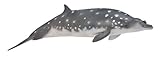 CollectA Sea Life Blainville's Beaked Whale Toy Figure - Authentic Hand Painted Model
