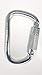Hood RVR CE1282 Certified 45KN Auto Locking Steel Carabiner Clip for Gym, Camping, Hunting, Hammocks, Mountaineering, D Shaped, Large and Silver