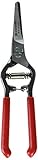 Corona FS 4310 Bonsai & Orchids Mini Shear with Vinyl Coated Steel Handles, 1-1/4-Inch