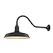 Dolan Designs Black Gooseneck Barn Light with 16