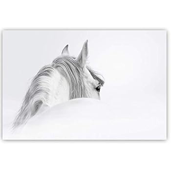 Studio 500 Museum Quality Wall Art - The Mystical White Horse in White and Black with a Silver-Tone, High Resolution Giclee Printing on Canvas Wrap, from Our Global Collection H0024