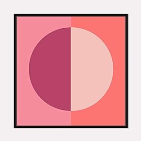 Framed for Living Room Bedroom Beautiful Watercolor Birds for