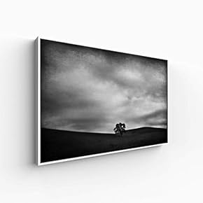 Canvas Wall Art for Living Room, Bedroom Monochrome Landscape Framed Canvas Prints for Home Decoration Ready to Hang - 16x24 inches