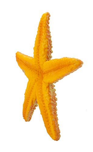 Safari Ltd Wild Safari Sea Life Starfish