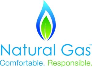 PROFESSIONAL Commercial Kitchen Equipment NATURAL GAS Countertop 9-Chicken Capacity Bird Turkey Chicken Rotisserie Roaster Oven Grill Machine