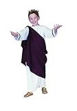 Roman Caesar the Great Kids Costume Large (12-14)