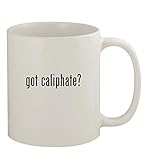 got caliphate? - 11oz Ceramic White Coffee Mug, White